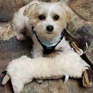 Meet your Posher, Sharon